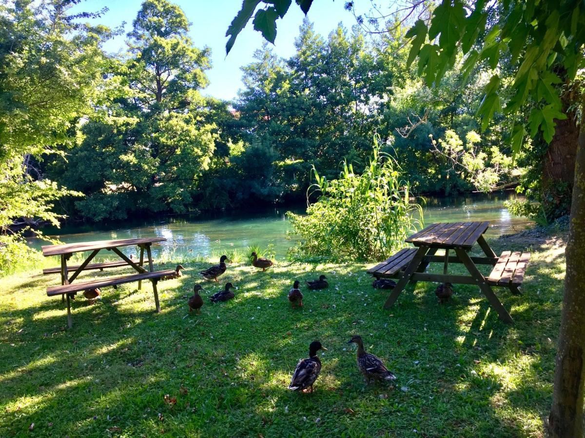 Bed and Breakfast Mas Le Pont Des Aubes Л'Иль-сюр-ла-Сорг Экстерьер фото